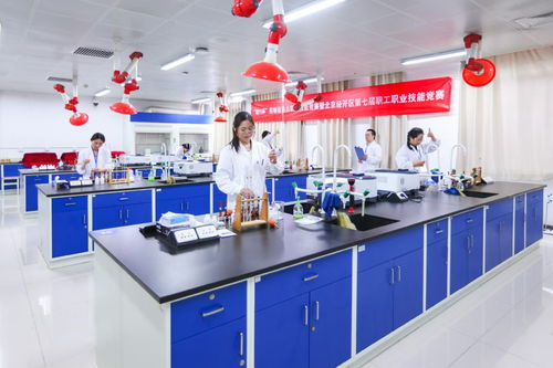 北京經(jīng)開區(qū)舉辦“精藝杯”藥物檢驗(yàn)員職業(yè)技能競賽，助推產(chǎn)業(yè)人才高地建設(shè)